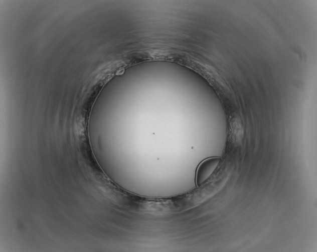 X0000112940571200909071057