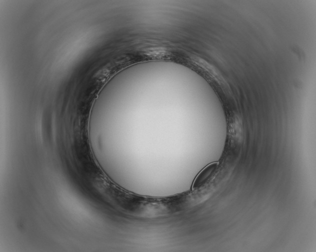 X0000112940572200909071057