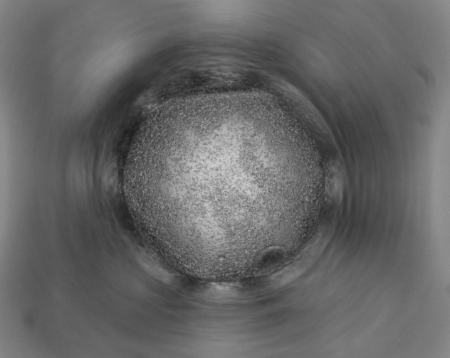 X0000112940573200909071057