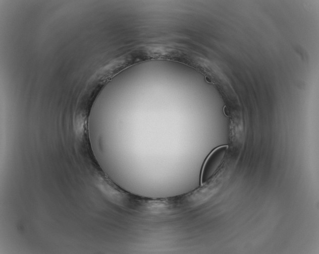 X0000112940574200909071057