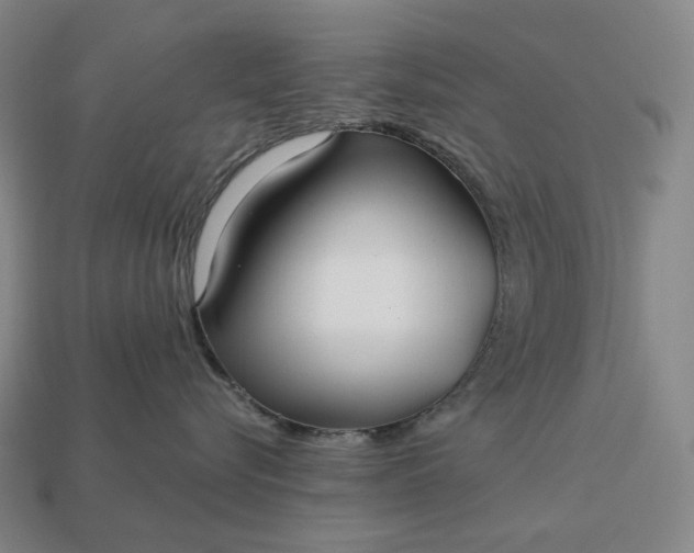 X0000112940576200909071057