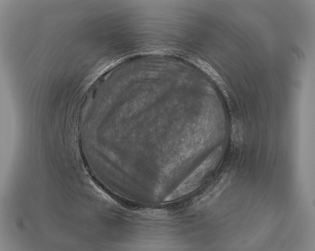 X0000112940577200909071056