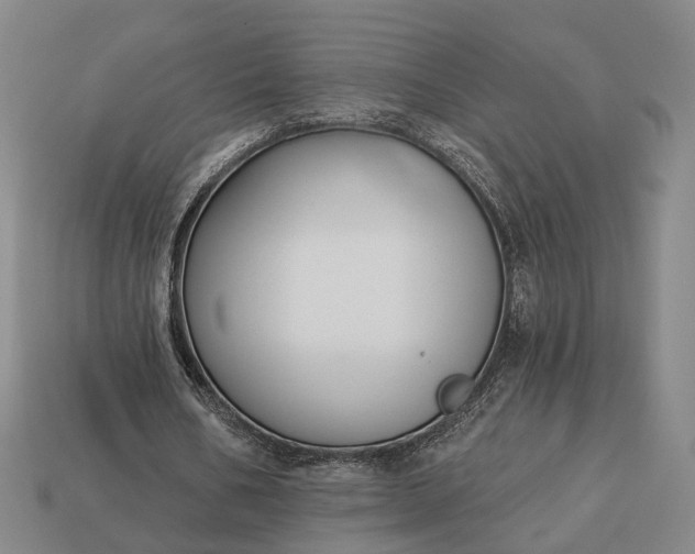 X0000112940578200909071056