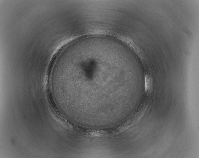 X0000112940579200909071056