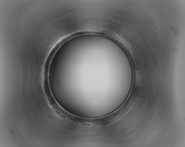 X0000112940580200909071056