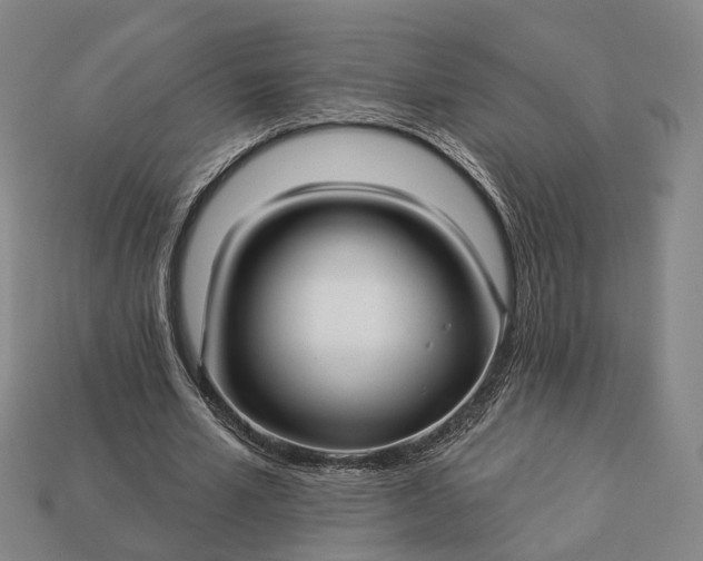 X0000112940581200909071056