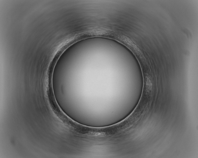 X0000112940582200909071056