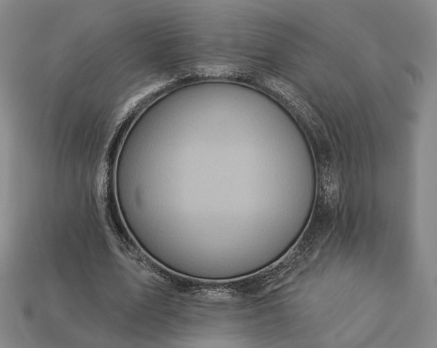 X0000112940583200909071056