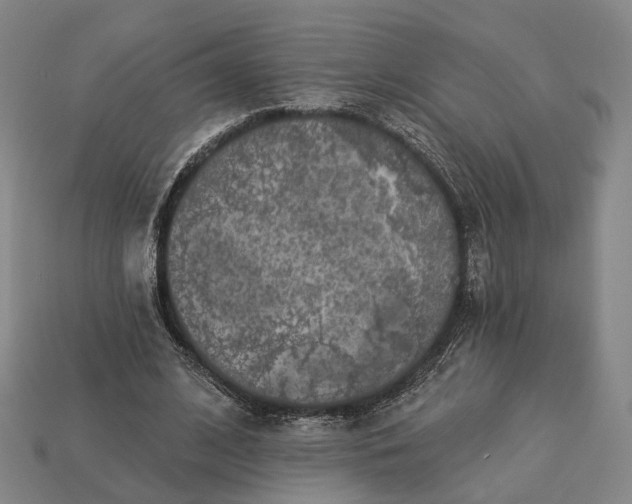 X0000112940584200909071056