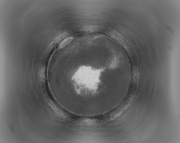 X0000112940585200909071056