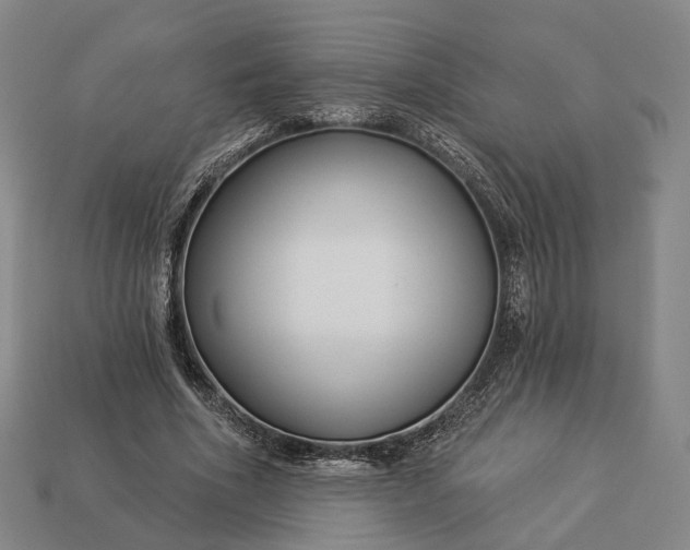 X0000112940586200909071056