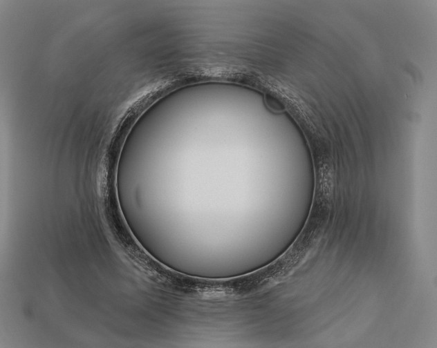 X0000112940587200909071056