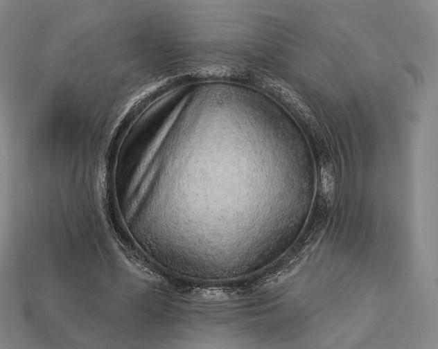 X0000112940588200909071056