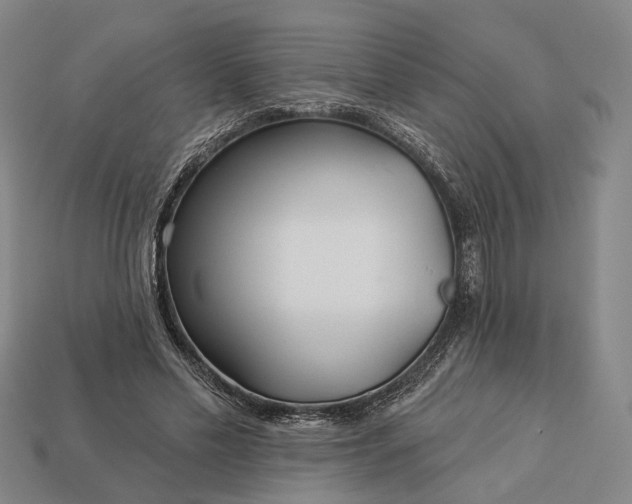 X0000112940589200909071056