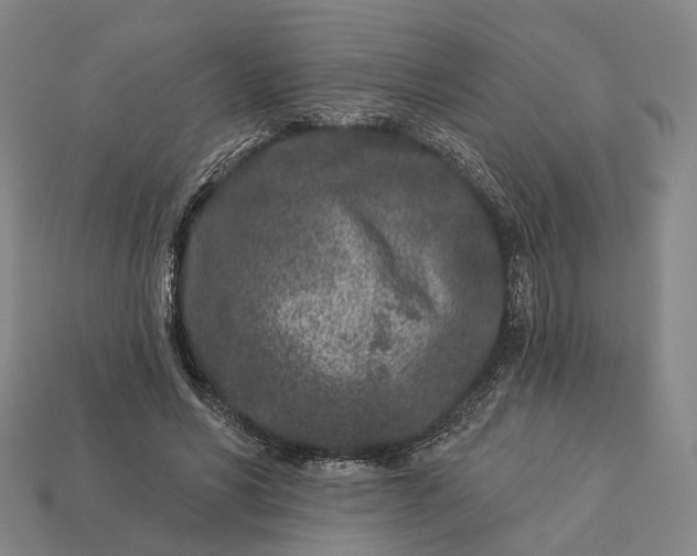 X0000112940590200909071056