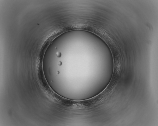 X0000112940591200909071056