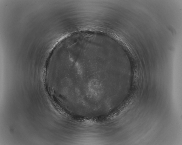 X0000112940592200909071056