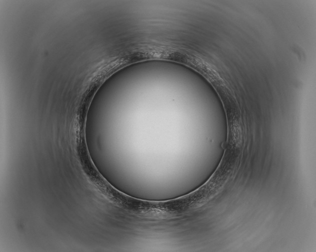 X0000112940594200909071056