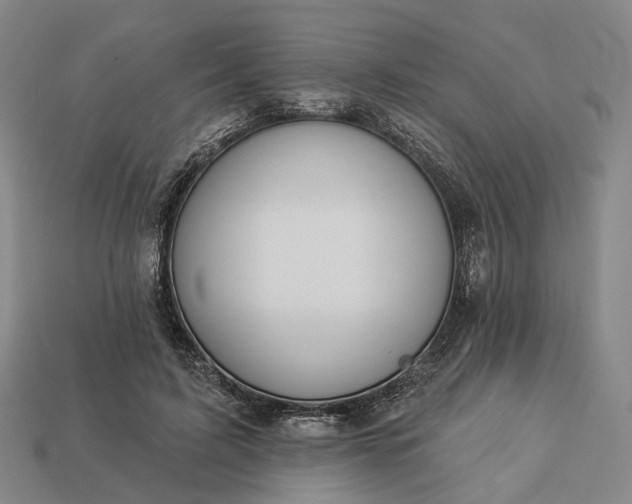 X0000112940595200909071056