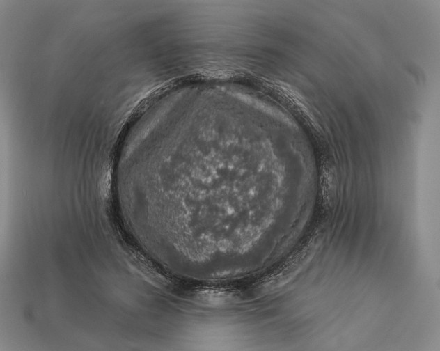 X0000112940596200909071056