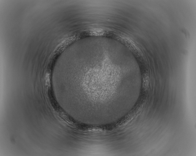 X0000112940598200909071056