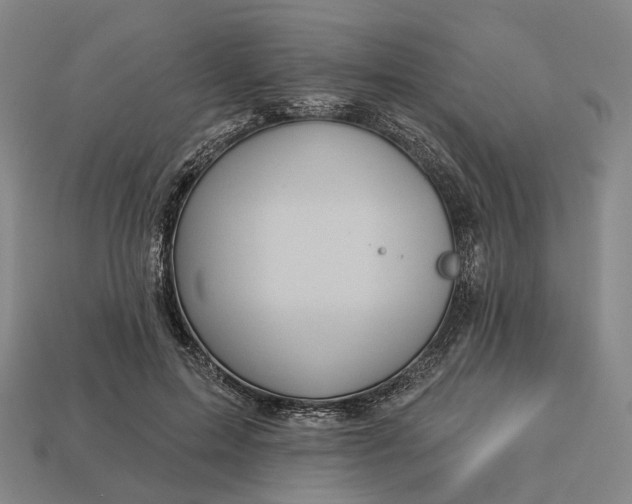 X0000112940599200909071056