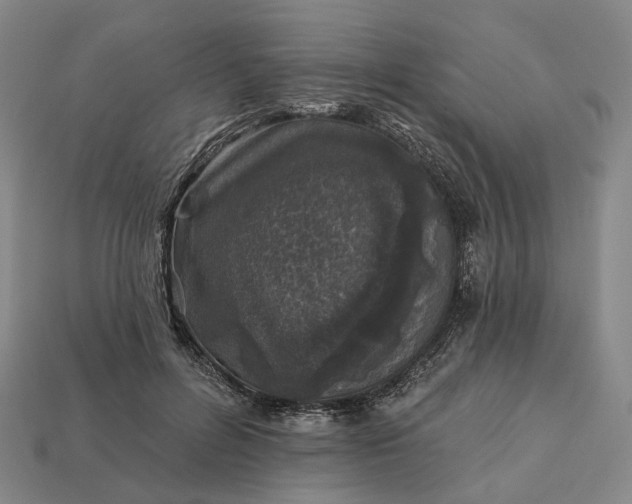 X0000112940600200909071056