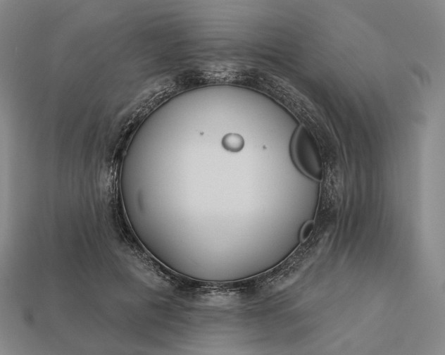 X0000112940601200909071056