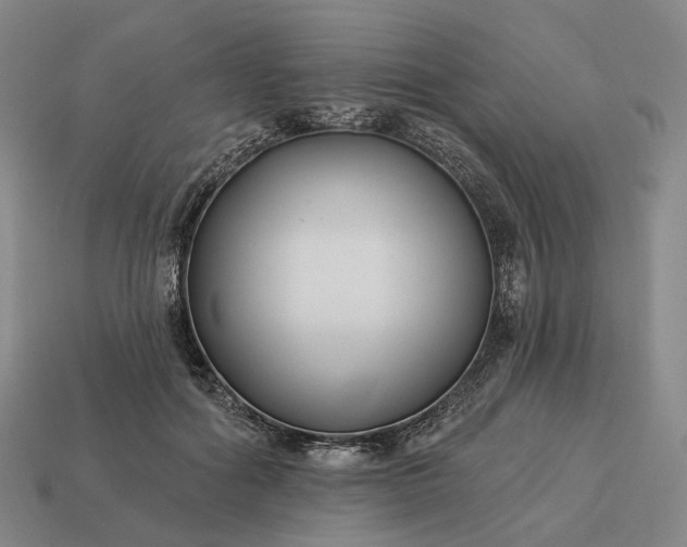 X0000112940602200909071056