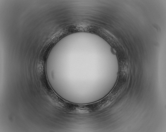 X0000112940603200909071056