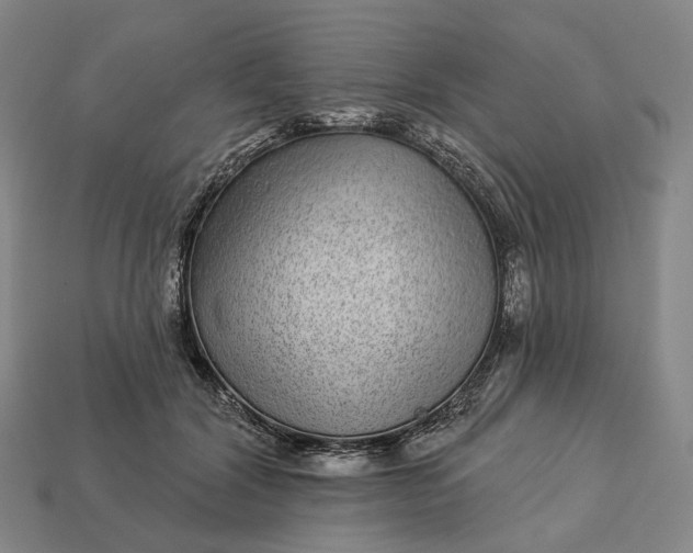 X0000112940604200909071056