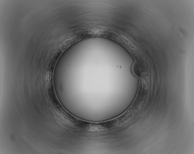 X0000112940605200909071056