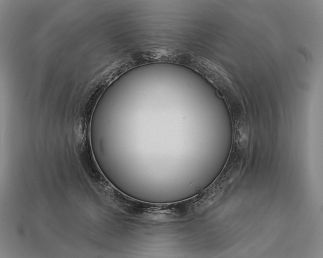 X0000112940607200909071056