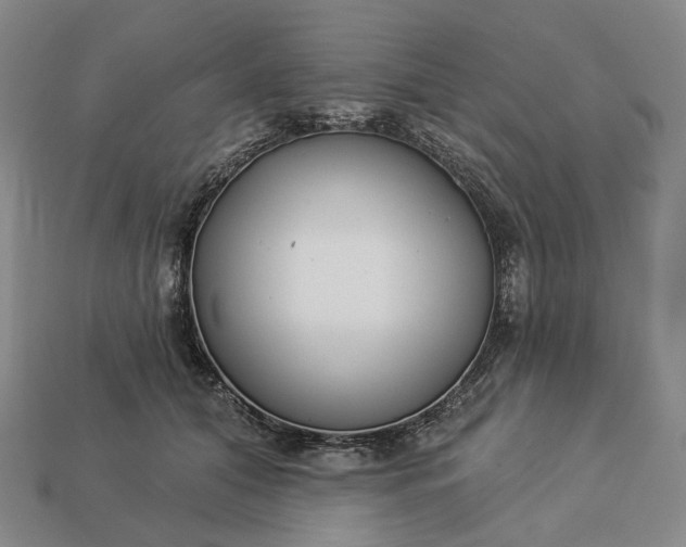 X0000112940608200909071056