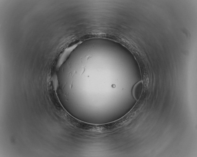 X0000112940609200909071056