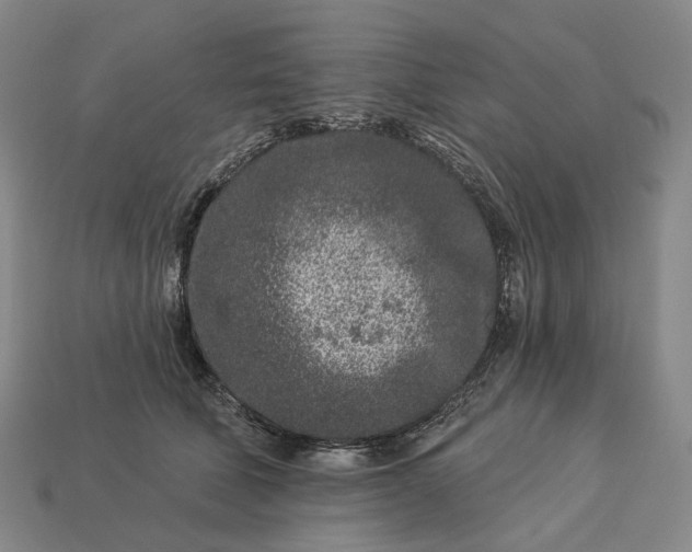 X0000112940610200909071056