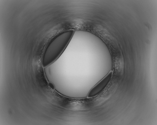 X0000112940611200909071056