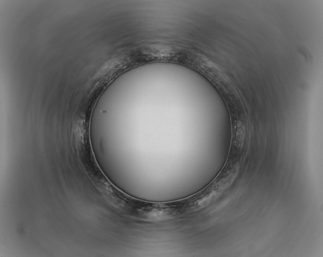 X0000112940612200909071056