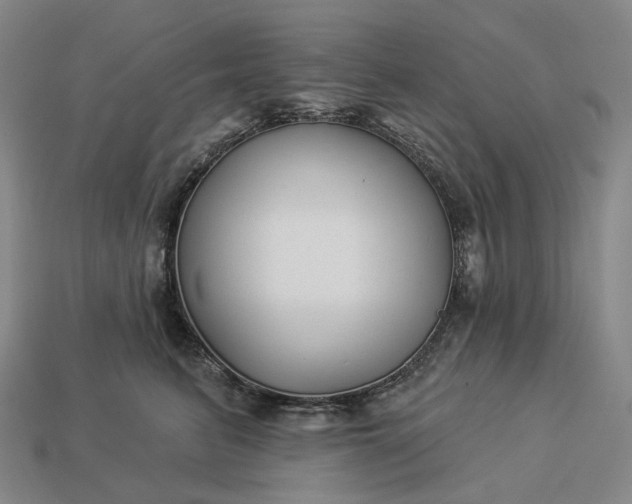 X0000112940615200909071056