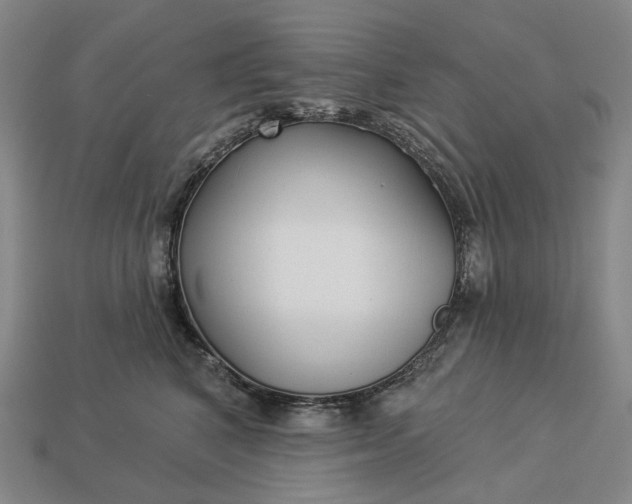 X0000112940616200909071056