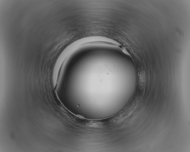 X0000112940617200909071056