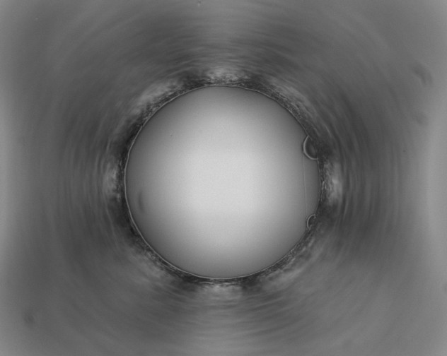 X0000112940619200909071056