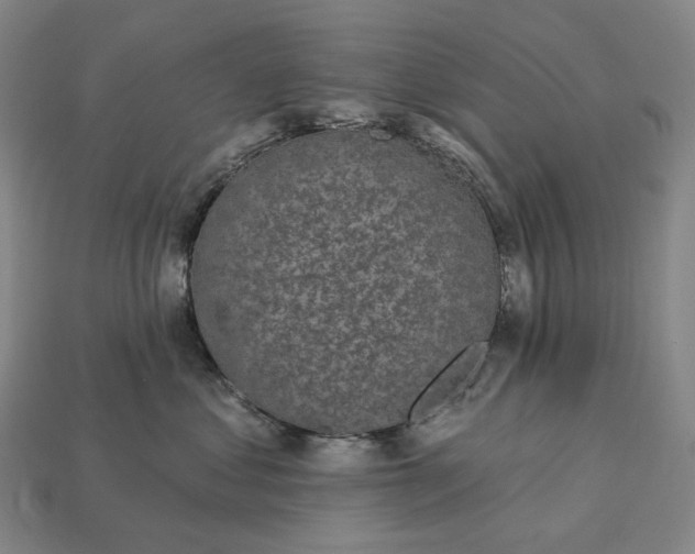 X0000112940621200909071056