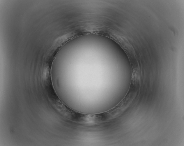 X0000112940623200909071056