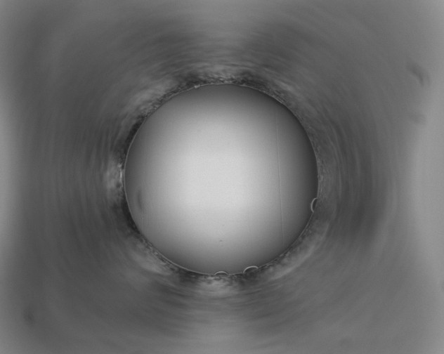 X0000112940624200909071056