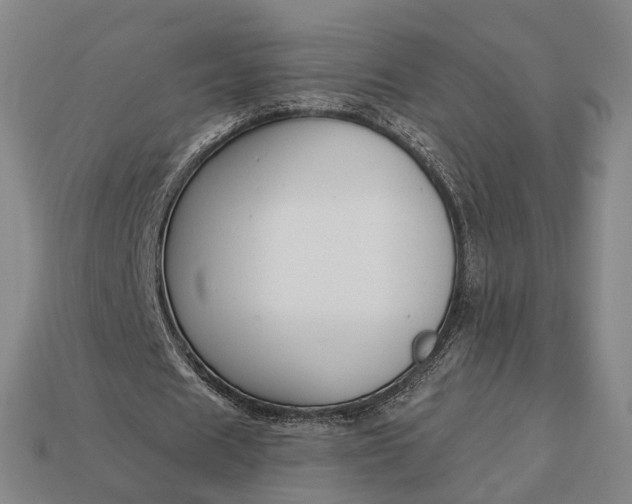 X0000112940625200909071055