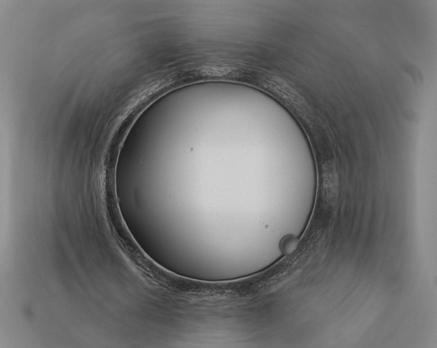 X0000112940626200909071055