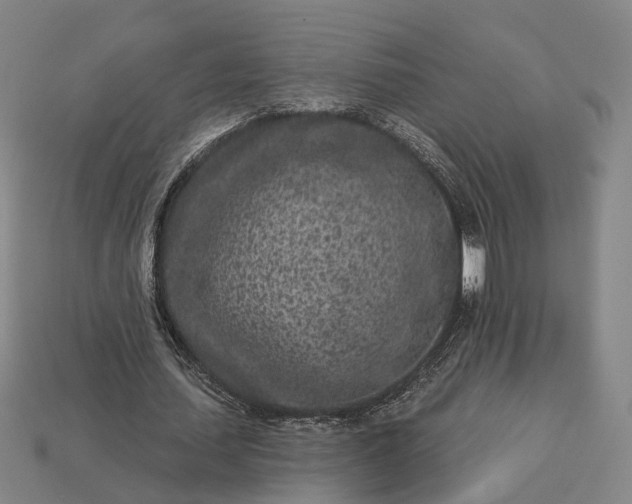 X0000112940627200909071055