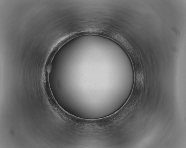 X0000112940628200909071055