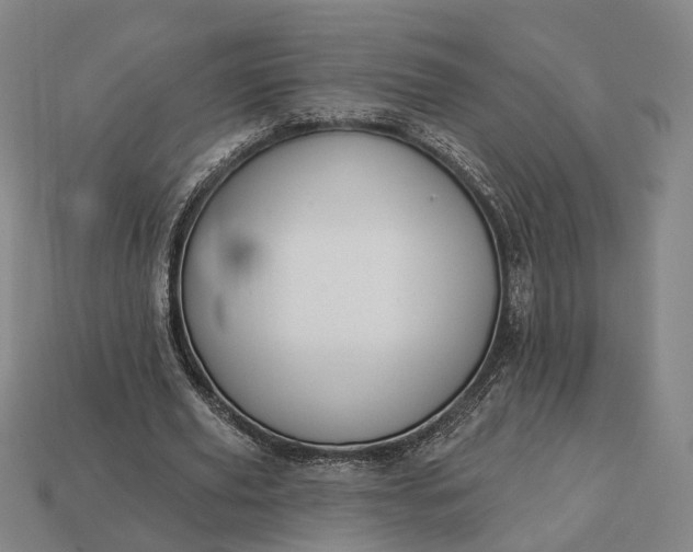 X0000112940629200909071055